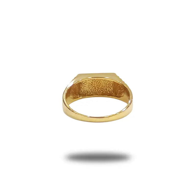 Signet Ring In Solid 10K Yellow Gold For Him - Men’s Jewelry